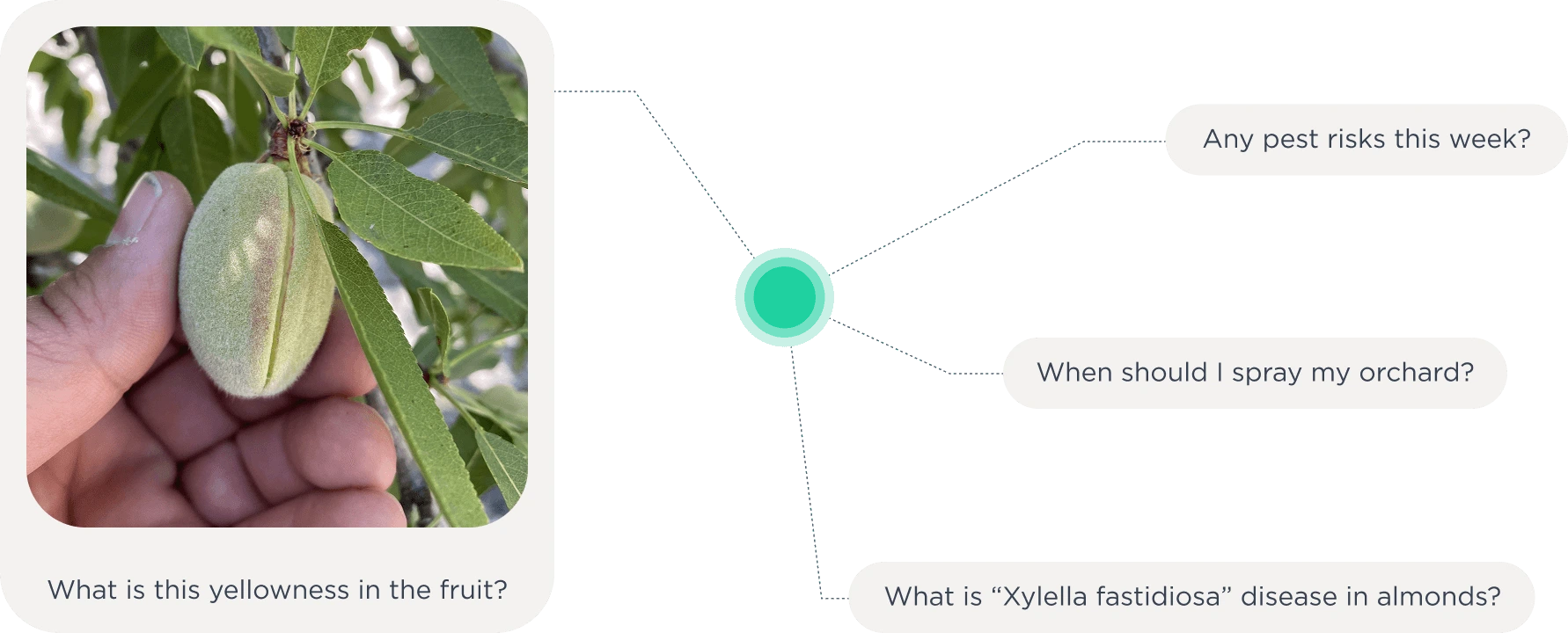 Ask Your Fields