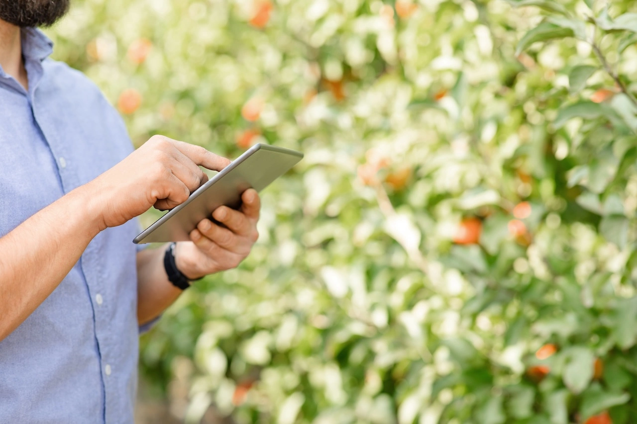 Data visualization showing daily high-low & averages