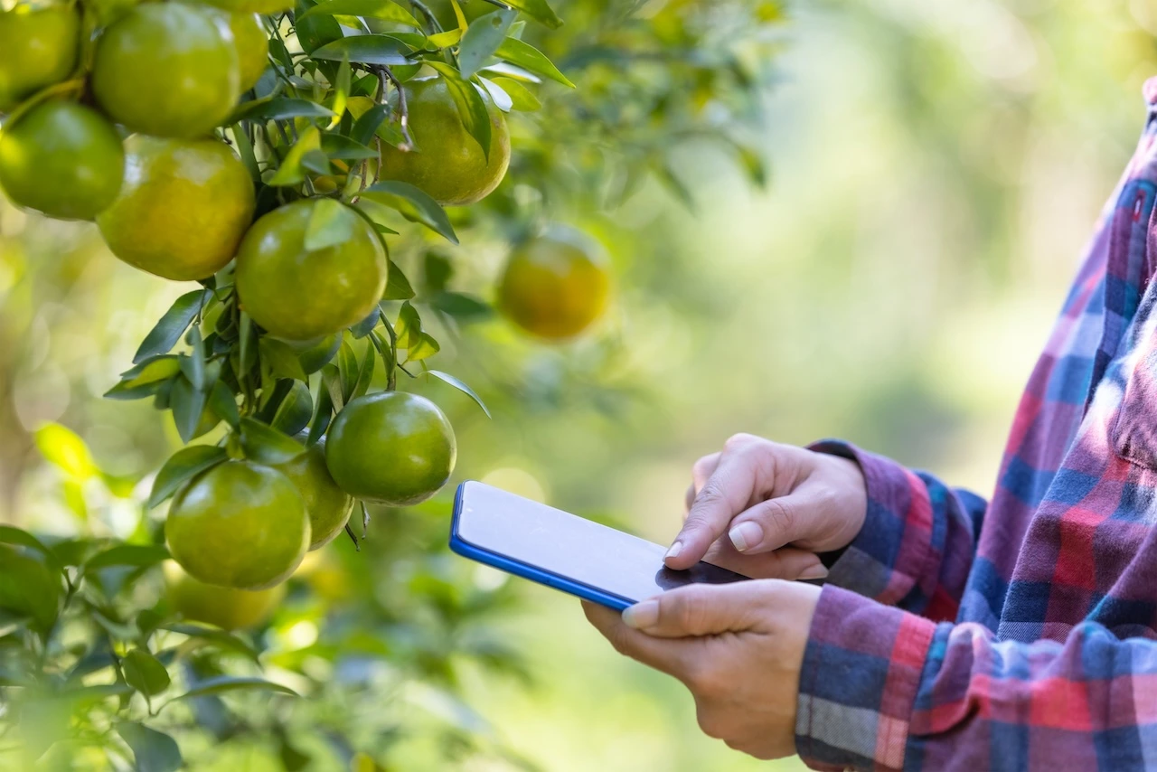 Agrotics advanced reports dashboard