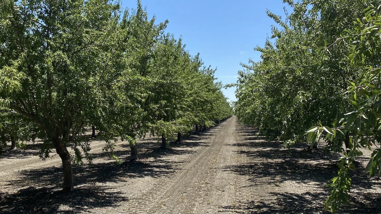 Agrotics farm management dashboard
