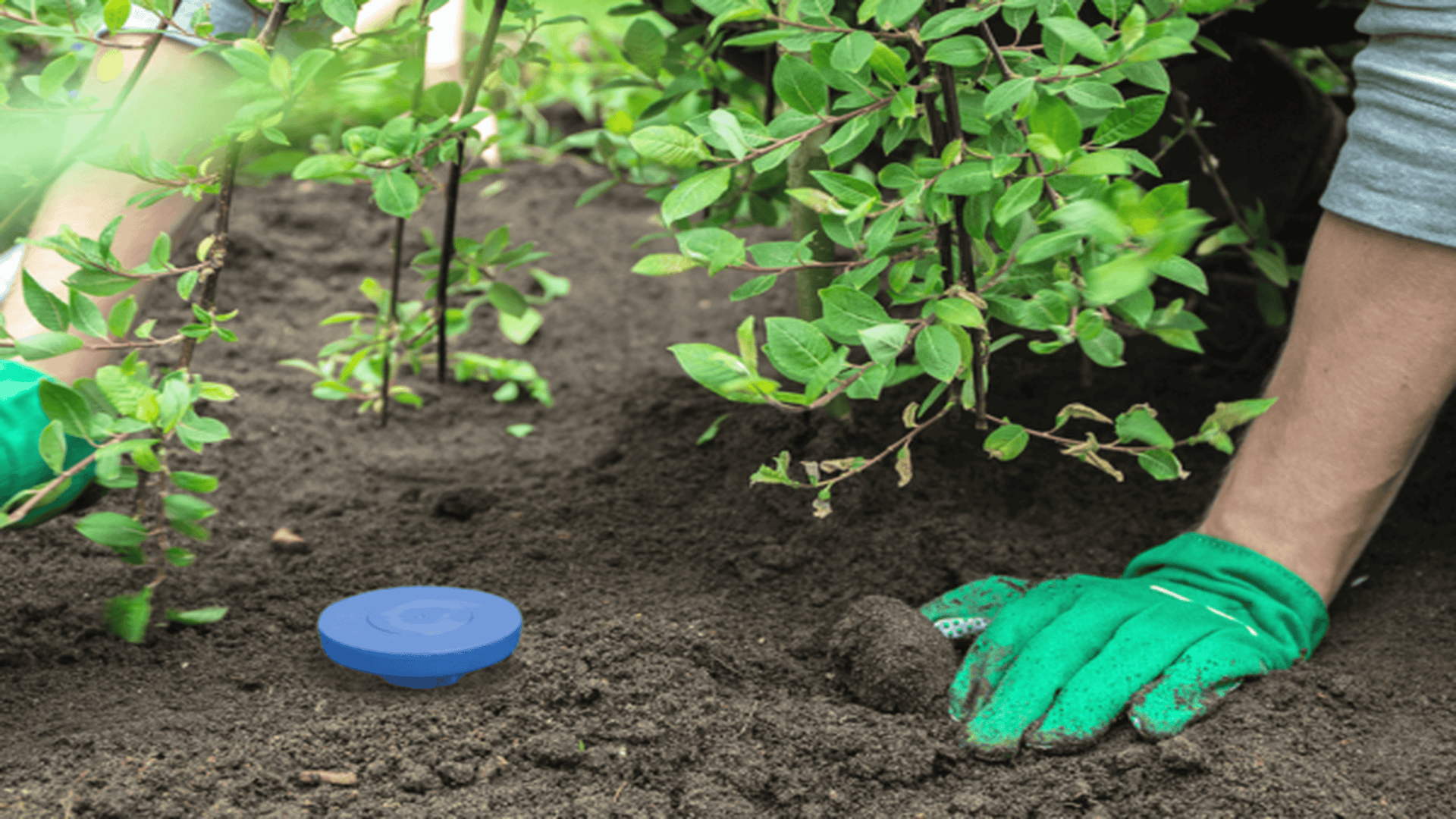 Soil moisture sensor installation with gardening glove